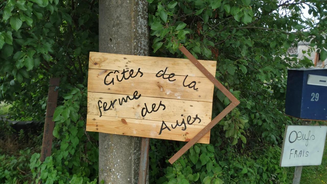 Familial Ferme Des Aujes Falaen * Onhaye