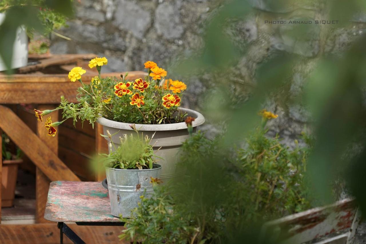 Familial Ferme Des Aujes Falaen Apartment